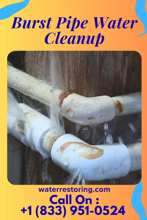 Burst Pipe Water Cleanup in Horn Lake, MS