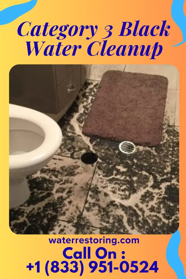 Category 3 Black Water Cleanup in Horn Lake, MS