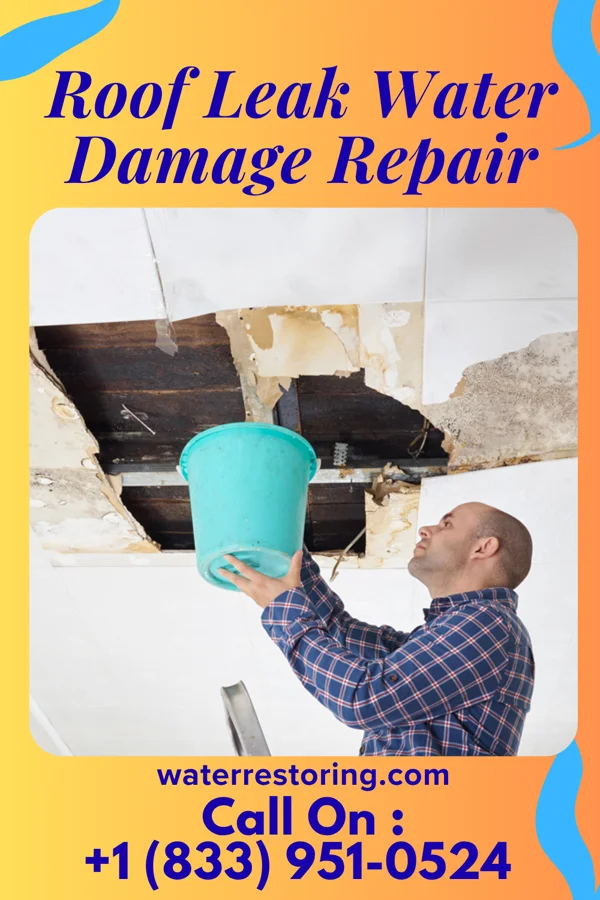 Roof Leak Water Damage Repair in Horn Lake, MS