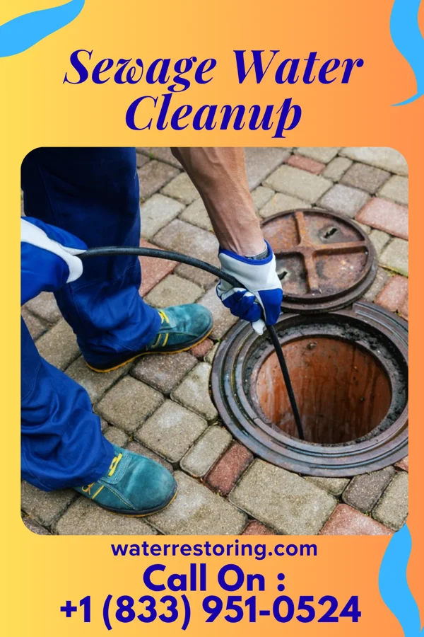 Sewage Water Cleanup in Horn Lake, MS
