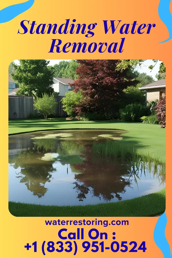 Standing Water Removal in Horn Lake, MS